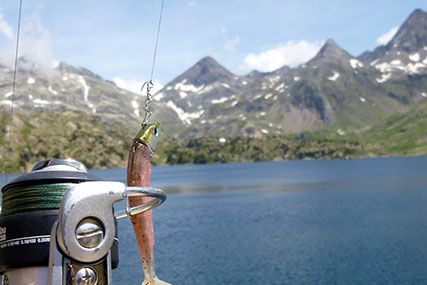 pesca en ibones o lagos conblack minnow